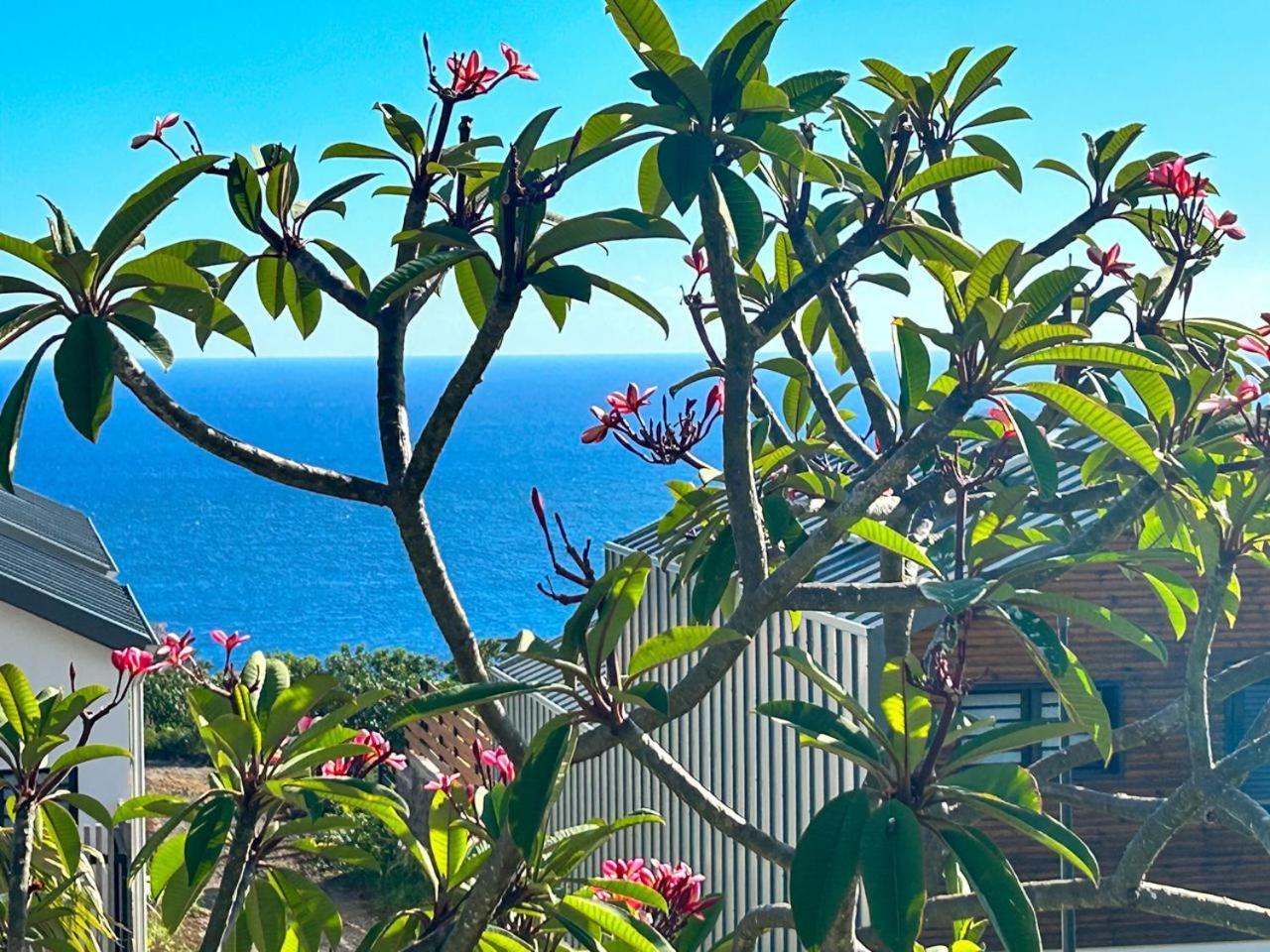 Le Reve Bleu Grand Anse Leilighet Petite Île Eksteriør bilde